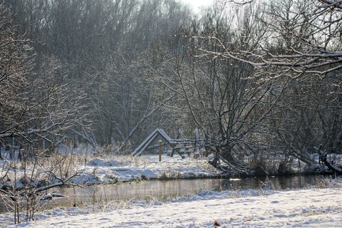 Krajobraz rzeki w lesie pokrytym śniegiem