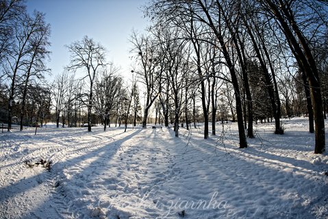 Słupski park zimą