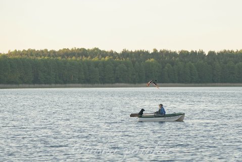 Rybak z psem na łódce na jeziorze Pile