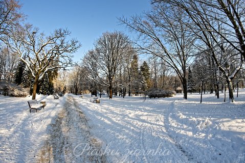 Słupski park zimą