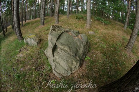 Wielki kamień w środku lasu